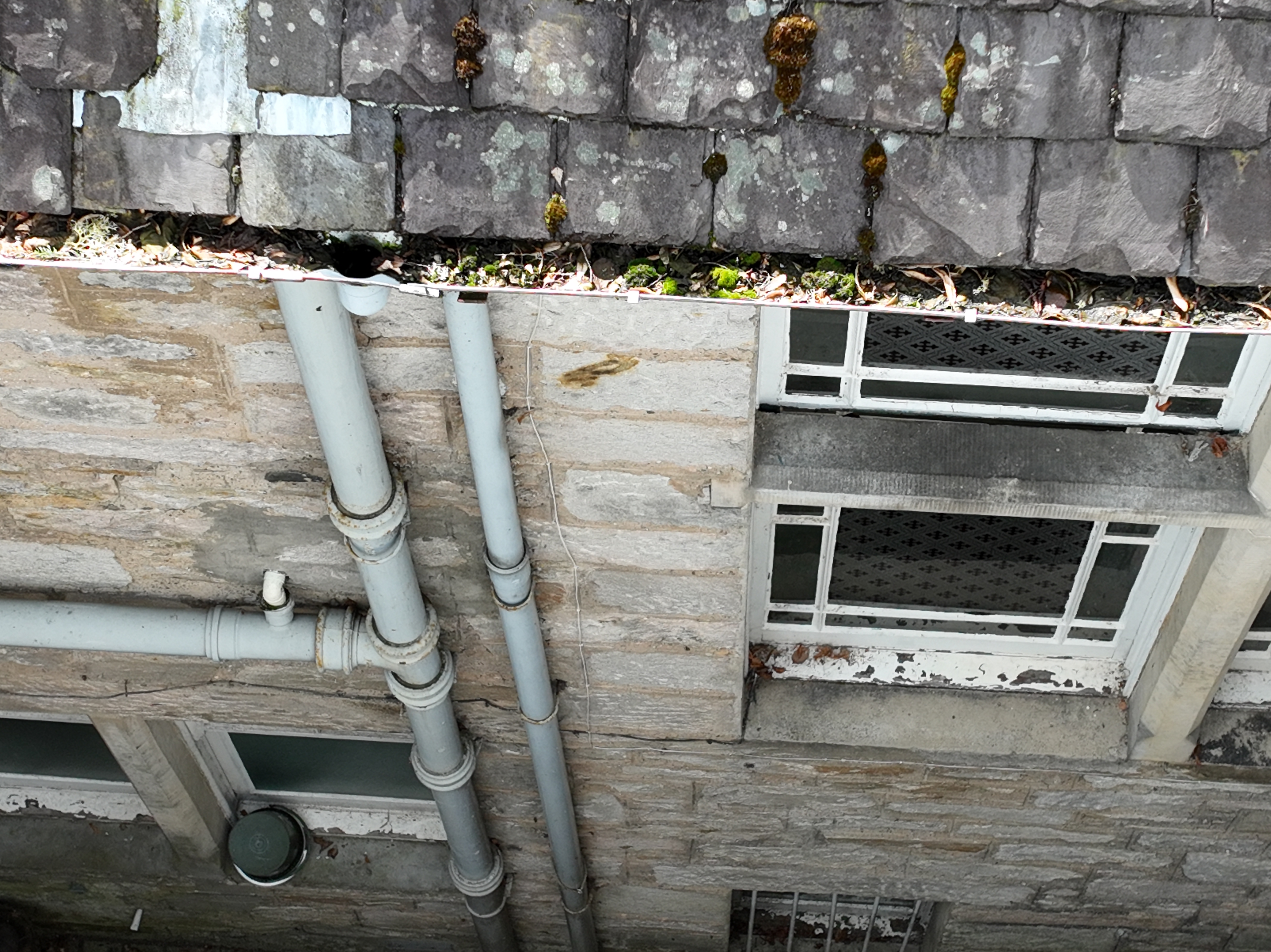 Roof Image 2